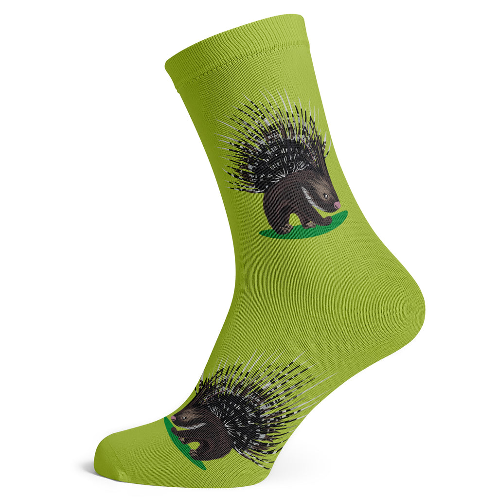 Porcupine Socks