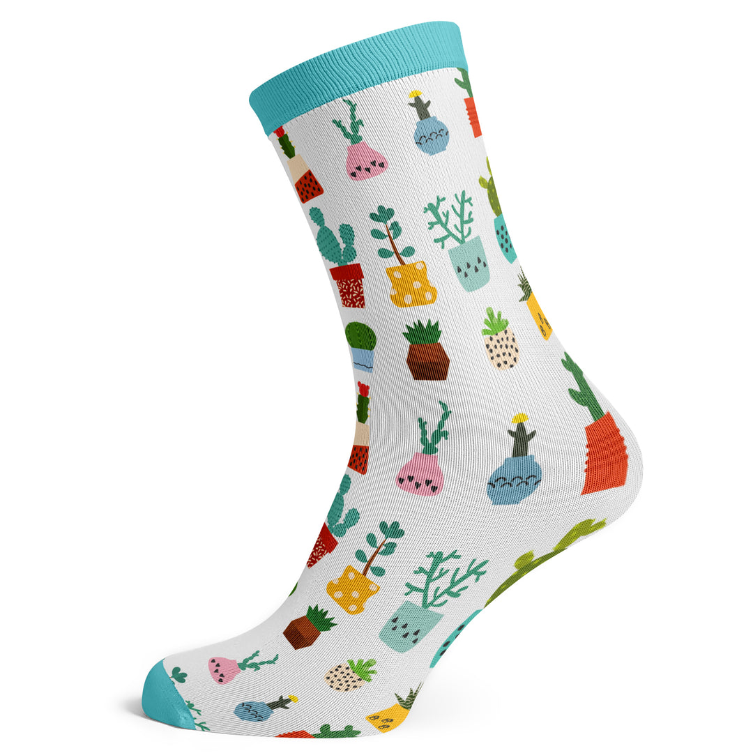 Potted Cacti Socks - Socks To Be You