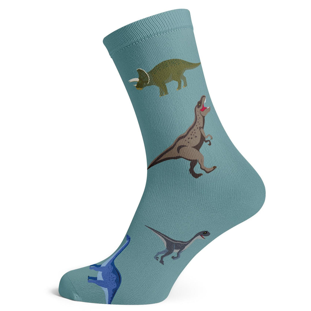 Dinosaurs Socks - Socks To Be You